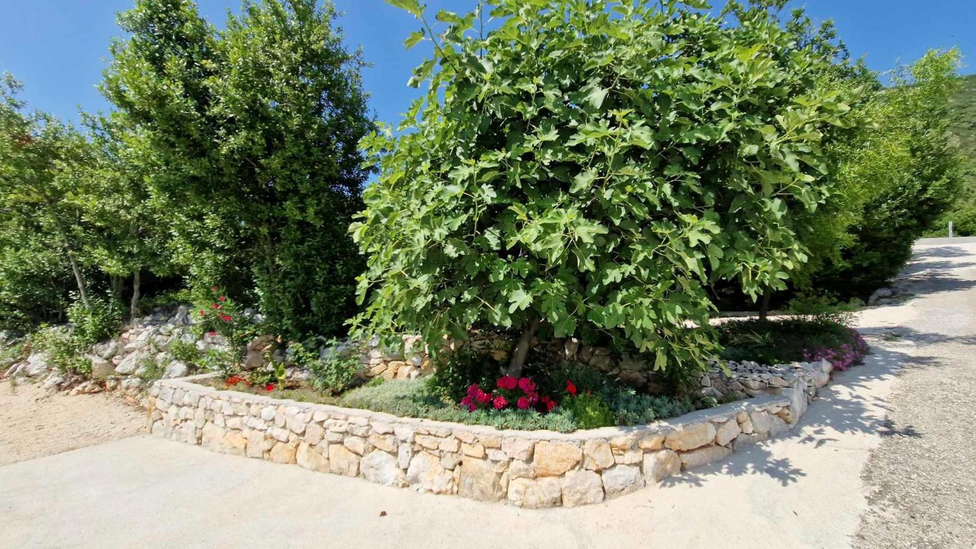 Villa Paradise Garden Ston Bagian luar foto